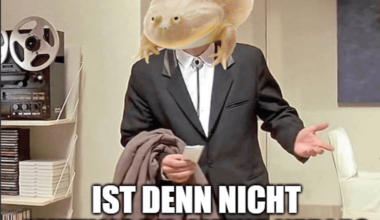 ich🐸iel