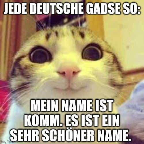 ich😺iel