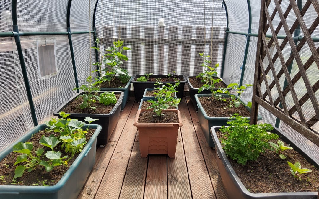 Gewächshaus Dachterrasse / Update