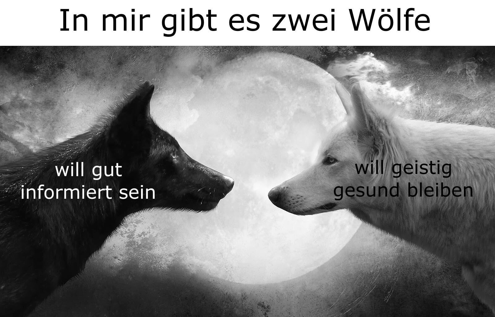 ich🐺iel