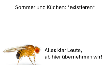 ich_iel