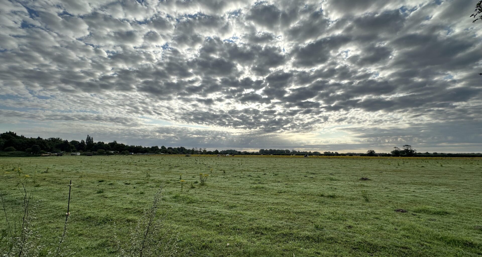 Who said Norfolk is flat, I’m sure there’s a slight incline in the far distance.