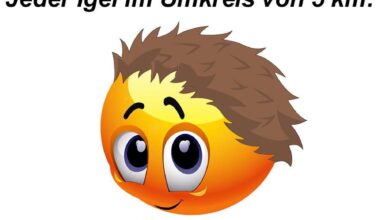 ich🦔iel