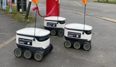 Has anyone actually seen / used one of these supermarket robots?