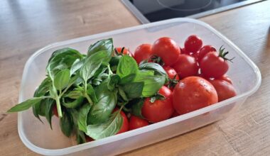 Heute einen größeren Schwung Tomaten geerntet....und etwas Basilikum. 😊