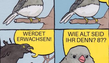 Ich🦊iel