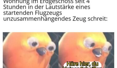 ich_iel