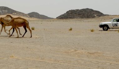 Western Sahara’s conflict is over. Negotiating the terms comes next.