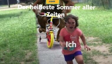 Jeden Sommer...