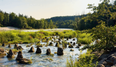 The beautiful Isar River near Munich in Germany on a tranquil summer day. 🌊 The lovely shores invite to relax and unwind midst Bavaria's beautiful nature. 🌿 Everyone who's interested can take a virtual seat by the shores and delve deeper into the peaceful ambience with at video clip at my profile.