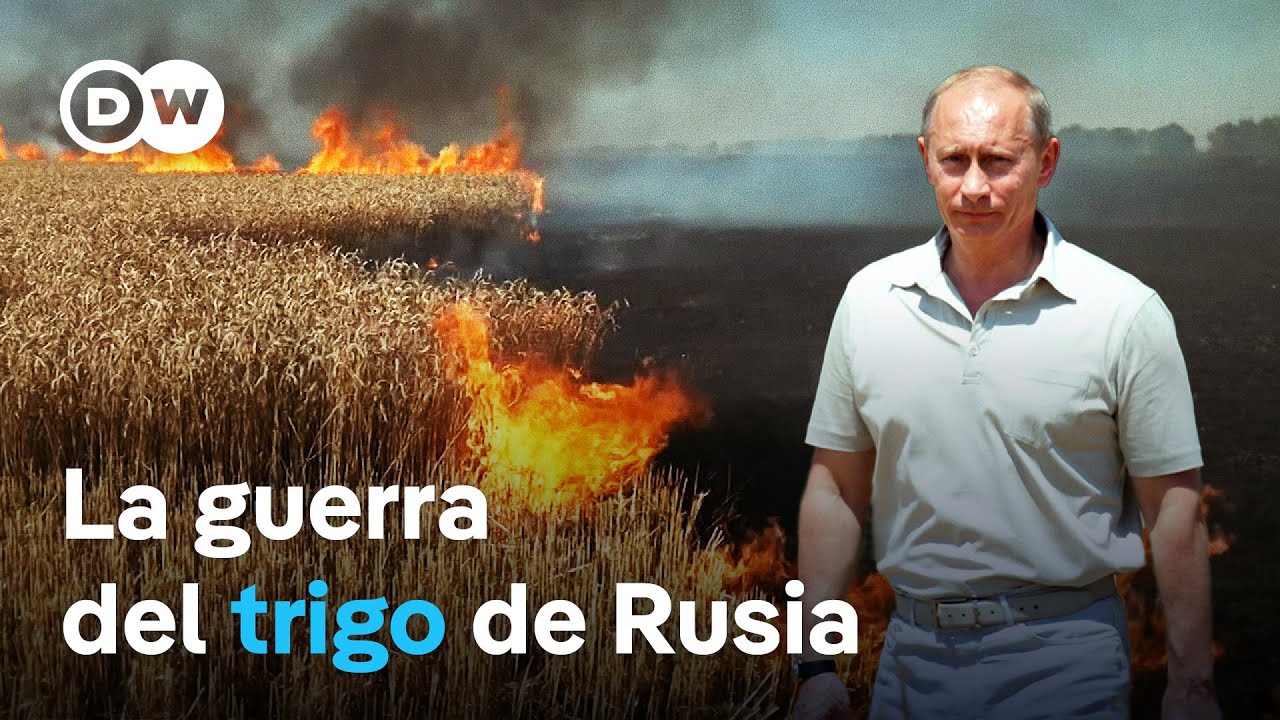 Cómo Putin utiliza el hambre como arma de guerra | DW Documental