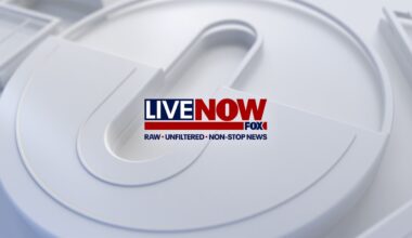 LIVE: Israel-Hamas war updates, prisoner swap details, Secret Service presser | LiveNOW from FOX