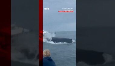 Moment whale capsizes fishing boat in the US. #Whale #US #BBCNews