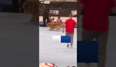 US Gymnastics' dog 'tries out' for the Olympics