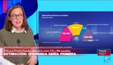 Charlotte de Beauvoir: "No está en la cultura francesa armar alianzas entre partidos opuestos"