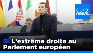 Le parti hongrois d'extrême droite devient la troisième force au Parlement européen | euronews 🇫🇷