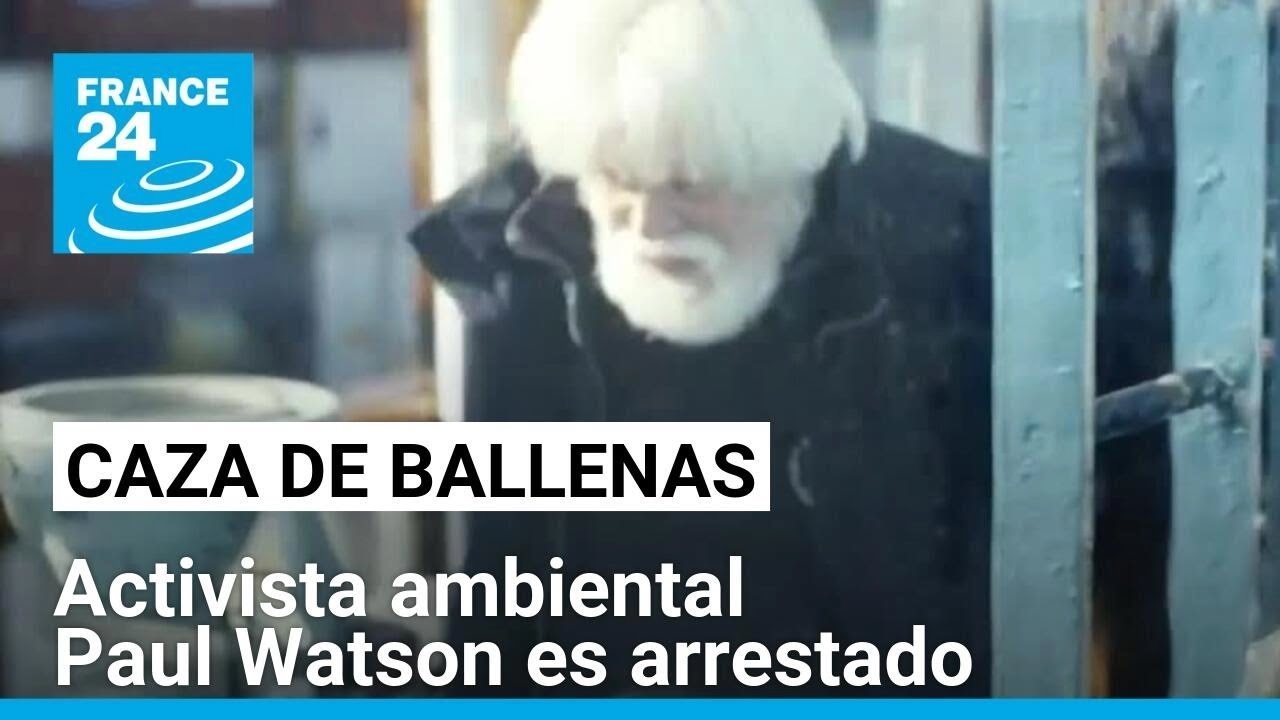 Paul Watson, líder en la lucha contra la caza de ballenas, fue arrestado en Groenlandia