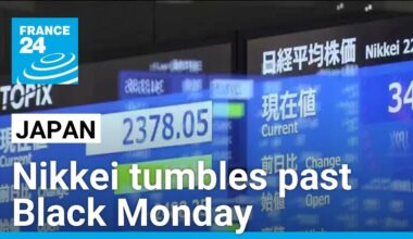 Asian stocks collapse, Nikkei tumbles past Black Monday milestone • FRANCE 24 English