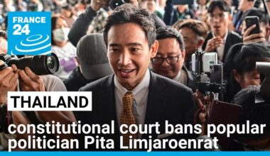 Thai constitutional court bans popular politician Pita Limjaroenrat, dissolves party • FRANCE 24