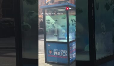 Suspected Banksy appears on police box #art #shorts