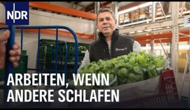 Arbeiten in der Nachtschicht: Großmarkt, Bahnstrecke, Friseur, Großküche | Die Nordreportage | NDR D