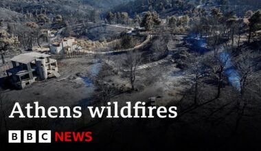 Greece wildfires brought under control, says fire service | BBC News