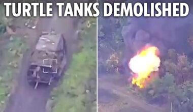 Putin's ‘turtle tanks’ are wiped out by Ukraine as Russia fails to hit back after invasion