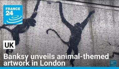 Street artist Banksy unveils animal-themed artwork in London • FRANCE 24 English