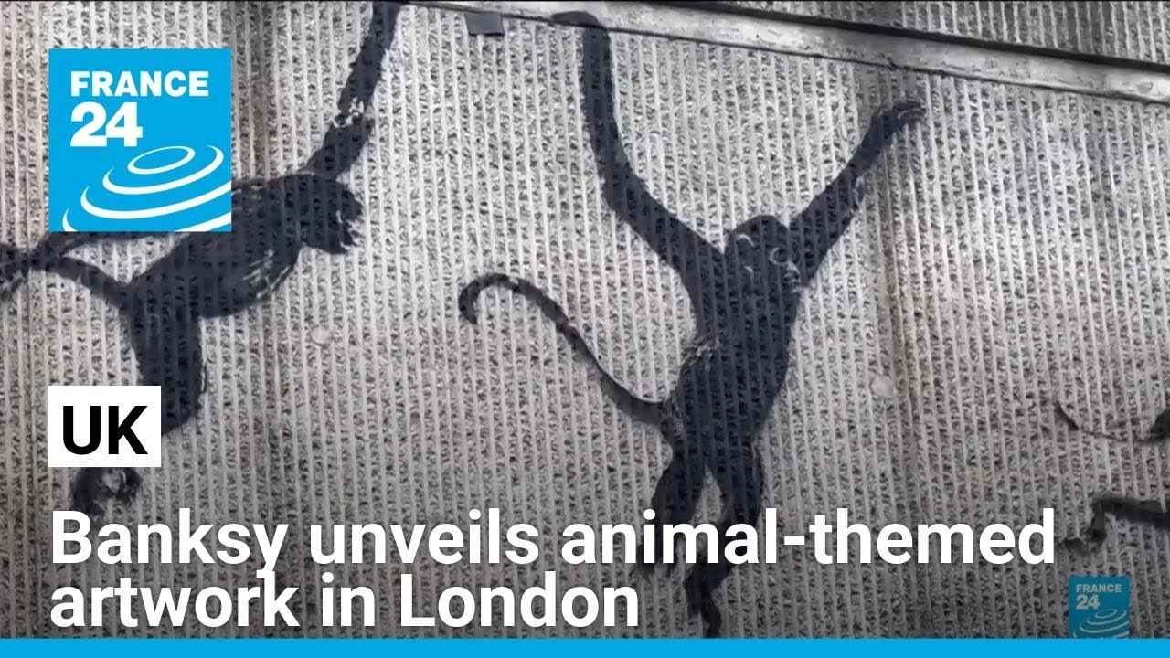 Street artist Banksy unveils animal-themed artwork in London • FRANCE 24 English