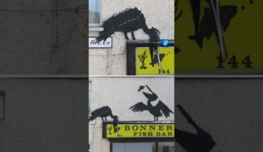 Banksy übersät London mit Tiermotiven. #banksy #london #art #tagesschau