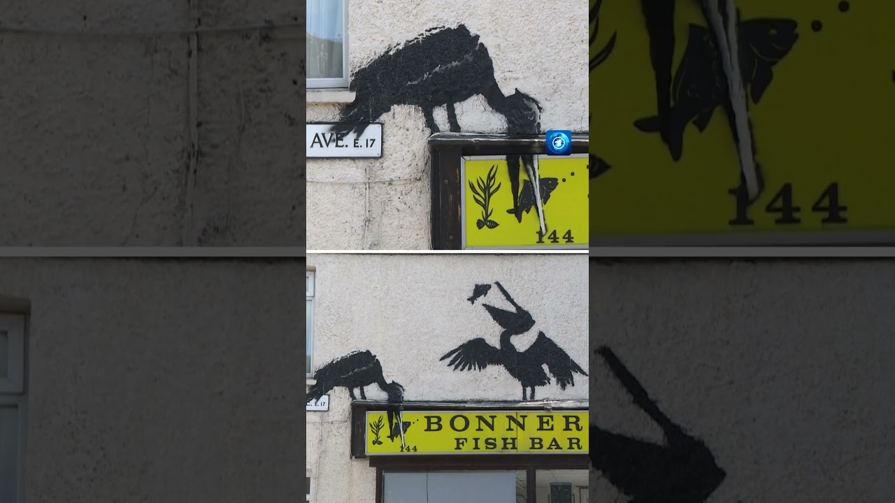 Banksy übersät London mit Tiermotiven. #banksy #london #art #tagesschau