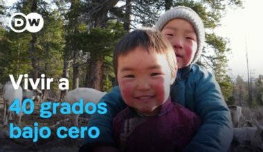 Los últimos nómadas de renos de Mongolia | DW Documental