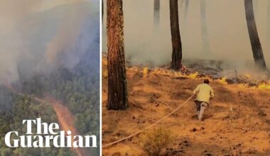 Firefighters tackle wildfires in south-west Turkey