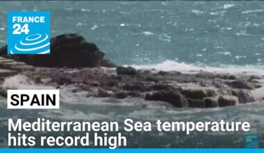 Mediterranean Sea temperature reaches record high • FRANCE 24 English