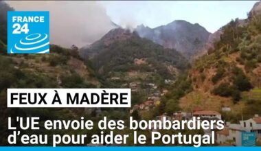 Feux à Madère : l'UE envoie 2 Canadair pour aider le Portugal • FRANCE 24