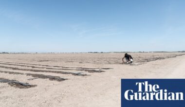 ‘Working here is hell’: latest death of farm worker in 40C heat shocks Italy | Workers' rights