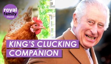 King Adopts One Millionth British Rescue Chicken and Names Her Henrietta