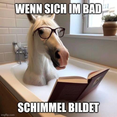 Bildung