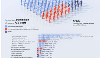 [OC] Global Causes of Death