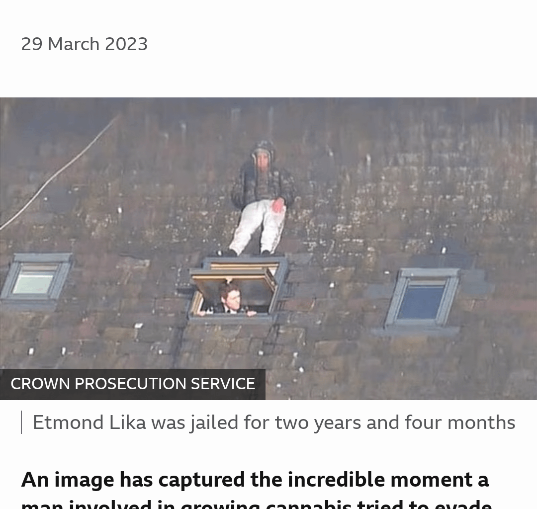 Man hides from police on roof