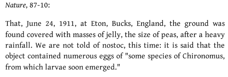 1911, Eton, Bucks: the ground was found covered with masses of jelly, after heavy rainfall, from which larvae emerged