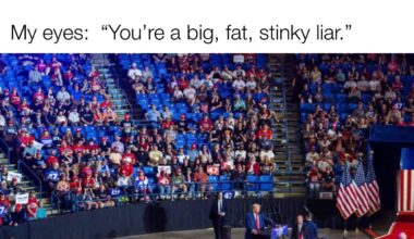 Big, fat, stinky liar