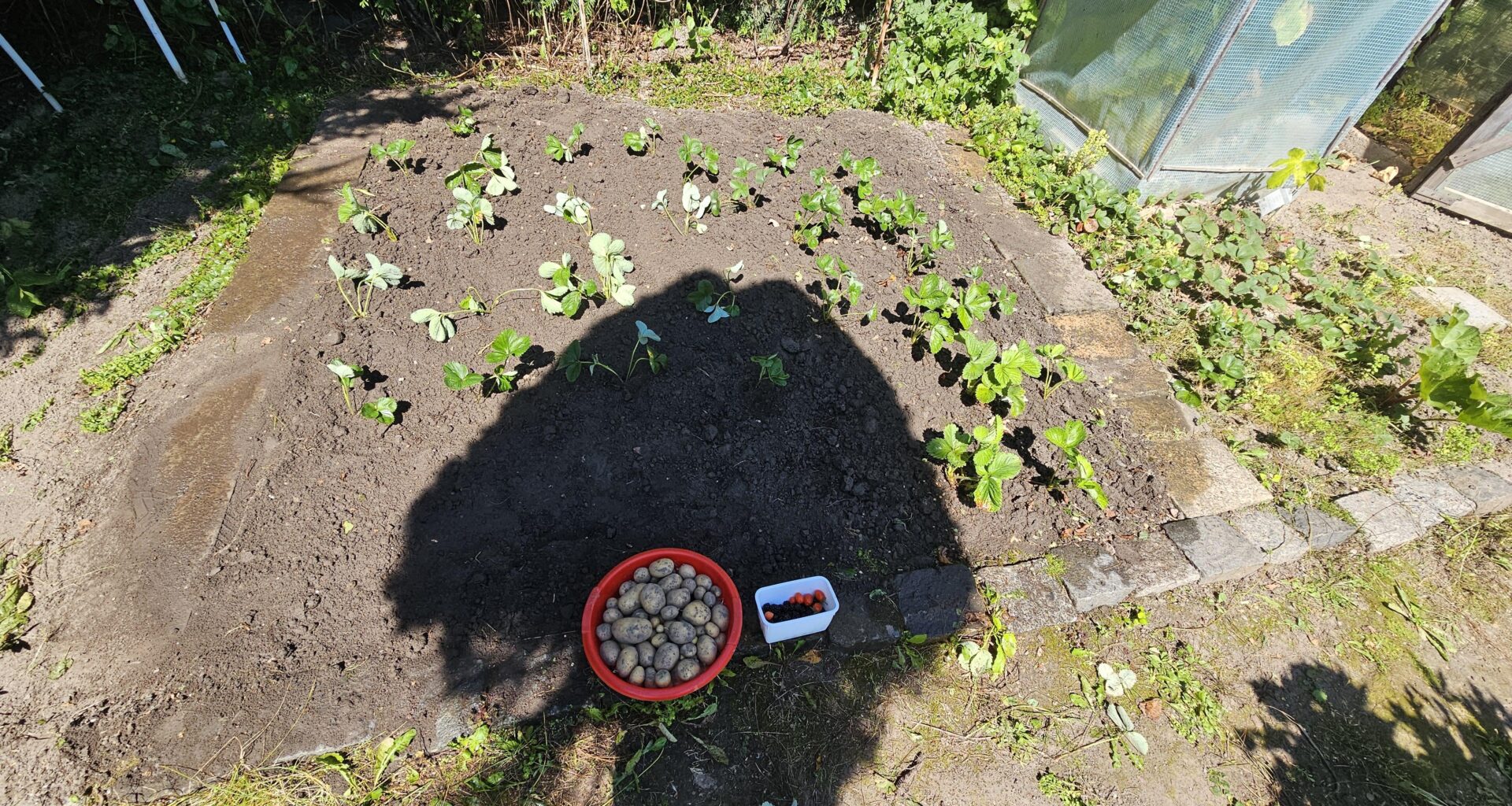 Bin im Garten