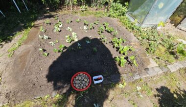 Bin im Garten