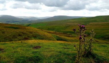 Yorkshire Dales. Right Nice.