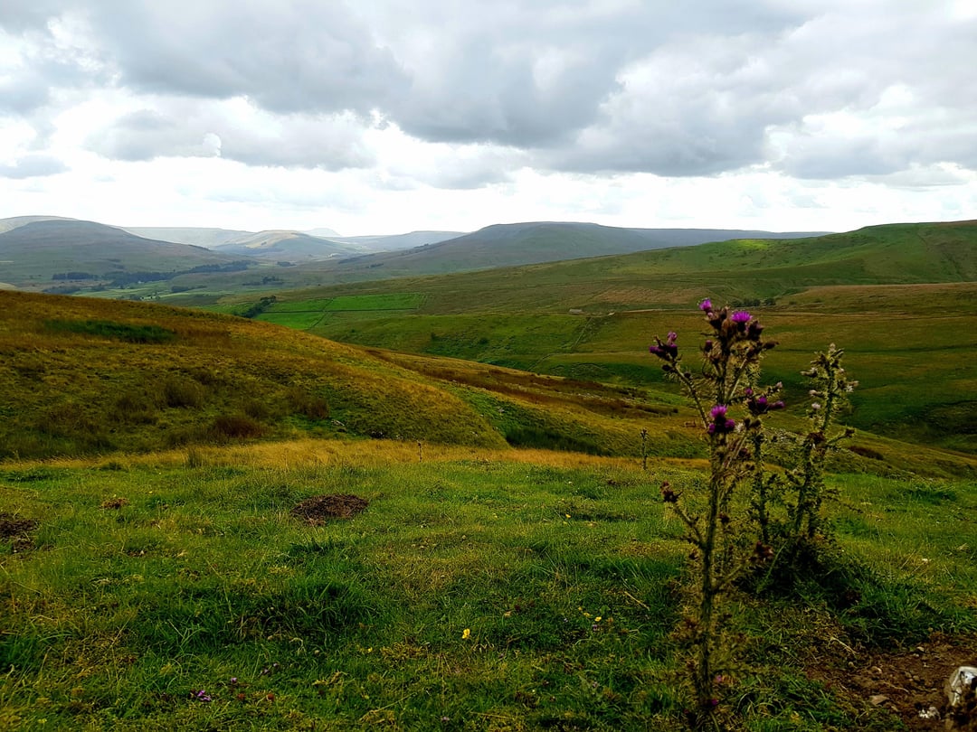 Yorkshire Dales. Right Nice.