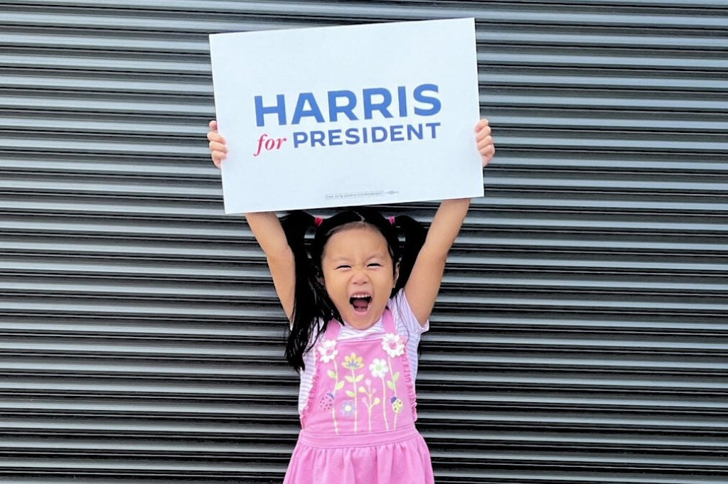 Michigan Asian-American leaders say a Harris presidency could be gamechanger