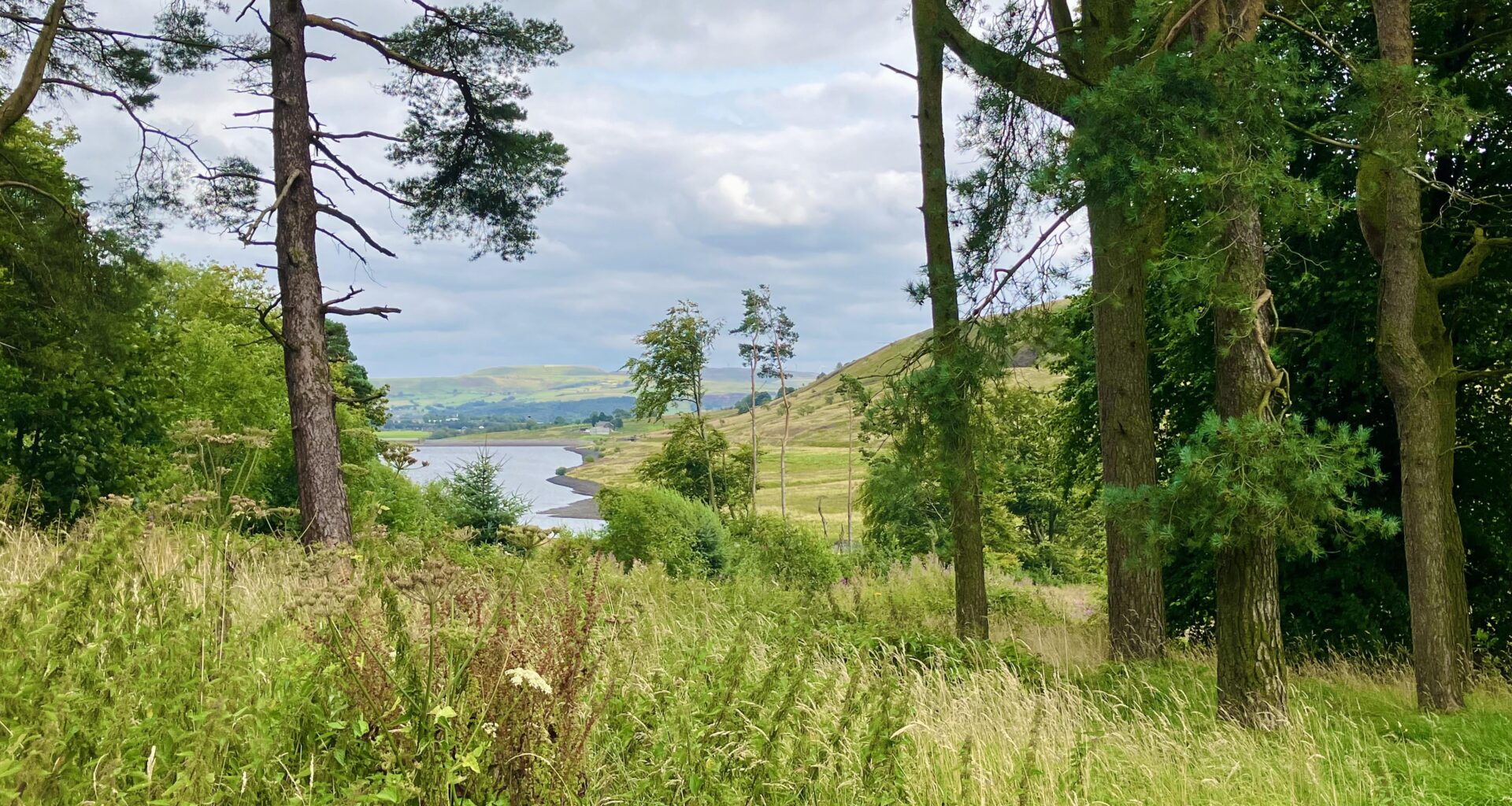 Out on a country walk (Lancashire)