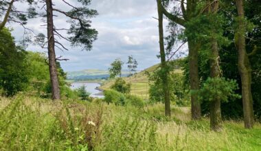 Out on a country walk (Lancashire)