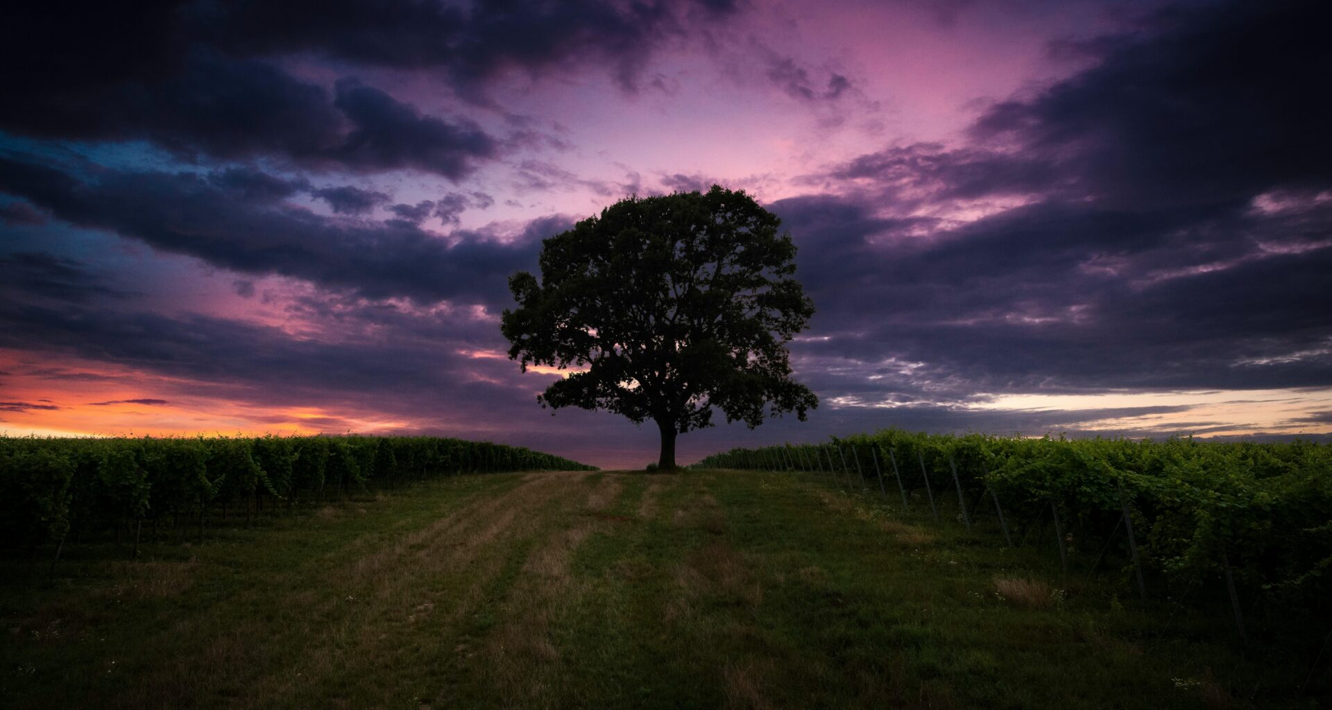 Sunset in Hungary